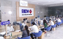 BIDV tài trợ hơn 650 tỷ đồng cho Hùng Vương mở rộng thị trường Nga