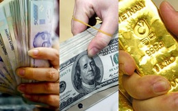 Ngày 5/11: Vàng SJC, USD tự do và ngân hàng cùng rớt giá