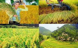 JICA hỗ trợ tích cực cho nông nghiệp Việt Nam