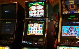 Có 6 doanh nghiệp tại Hà Nội kinh doanh máy đánh bạc