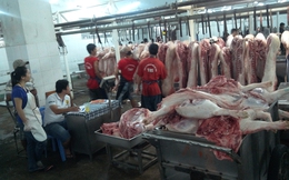 Cận cảnh ‘sàn’ giao dịch thịt heo lớn nhất Sài Gòn