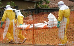 Tại sao thuốc trị Ebola chưa được dùng để cứu người châu Phi?