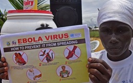 '20.000 người nữa có thể nhiễm Ebola'