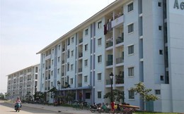 Kiểm tra nhà tái định cư tại TP.HCM, Đà Nẵng, Hà Nội