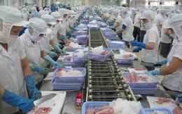 EVFTA: Áp lực lớn với cả nông nghiệp và công nghiệp Việt Nam