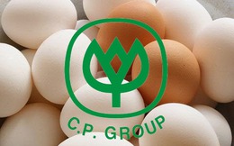 Chân dung "nghi phạm" làm giá trứng gà: Đại gia thống trị thị trường nông nghiệp Việt