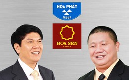 Tôn Hoa Sen vs. Thép Hòa Phát