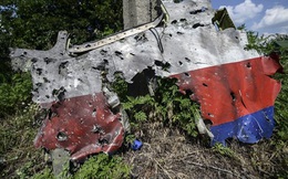 RIA: Báo cáo của Hà Lan cho thấy MH17 không bị tên lửa bắn hạ
