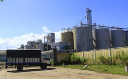 Bi hài vụ Ethanol Đại Tân: Đi đòi nợ để trốn nợ