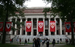 Đại học Harvard rúng động vì bê bối gian lận thi cử lịch sử