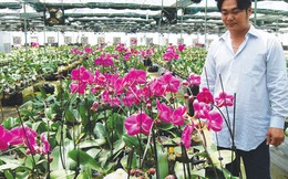 Những tỷ phú nông dân giàu lên nhờ "khác người"