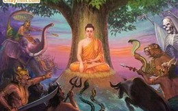 Nghe Phật dạy cách đối trị với bạo lực, khủng bố