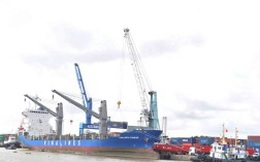 Vận tải biển Việt Nam: Nguy cơ mất thị phần tại “sân nhà”