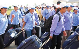 2013: Hơn 78.000 lao động Việt Nam xuất khẩu lao động