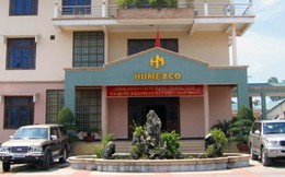 Thừa Thiên Huế cổ phần hóa 4 doanh nghiệp nhà nước lớn