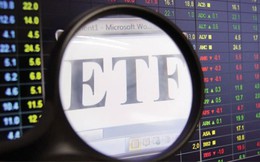 ETF - Mô hình quỹ tất yếu của thị trường