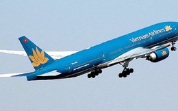Hai phi công Vietnam Airlines bị thu giấy phép