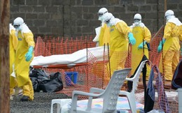 WHO xác nhận ít nhất 2.296 ca tử vong do dịch bệnh Ebola