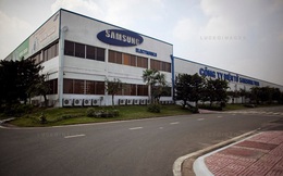 300 doanh nghiệp Việt đồng loạt xin làm vệ tinh cho Samsung