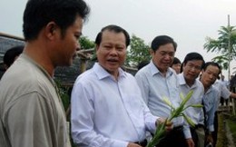 Phó Thủ tướng Vũ Văn Ninh làm việc về tam nông tại Hà Nội
