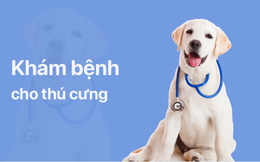 Mypet - Ứng dụng tiên phong tại Việt Nam về chăm sóc thú cưng toàn diện