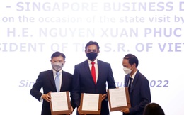 SAIGONTEL – VINACAPITAL – AUROUS (Singapore) bắt tay đầu tư