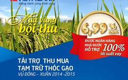 VietABank cho doanh nghiệp vay thu mua thóc gạo với lãi suất ưu đãi 6,99%