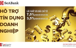 SeABank cho vay doanh nghiệp với lãi suất chỉ từ 7,5%/năm