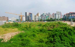 Hà Nội đấu giá 57 thửa đất tại huyện Đan Phượng