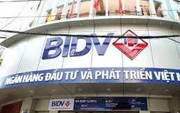 BSC: Qúy IV, cảng biển và CNTT là 2 lựa chọn hàng đầu