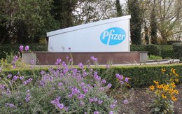 Pfizer sắp mua lại Allergan với giá 150 tỷ USD
