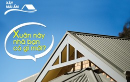 Tôn màu phong thủy vân hoa cương cho không gian sống hoàn hảo