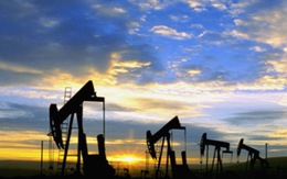 Giá dầu không ngừng sụt giảm