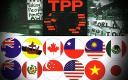 Triển vọng thông qua TPP ở 12 nước có “sáng”?