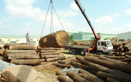 Xuất khẩu đồ gỗ có thể đạt 7 tỷ USD