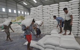 Myanmar tạm dừng xuất khẩu gạo đến trung tuần tháng Chín