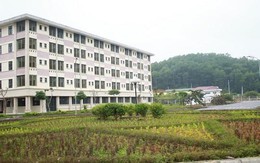 Ra Quyết định thanh tra dự án Đầu tư xây dựng ĐH Quốc gia Hà Nội tại Hoà Lạc