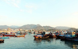 Đà Nẵng phát triển du lịch hay cảng cá?