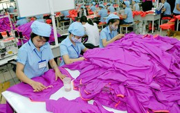 S&P: Thu hút đủ vốn FDI, kinh tế Việt Nam bắt đầu khởi sắc