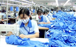 Thanh tra lao động tại các doanh nghiệp dệt may tại 12 tỉnh, thành phố