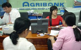 Agribank ưu tiên tuyển “con ông cháu cha" là vi phạm Hiến pháp?