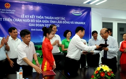 Vinamilk hợp tác với tỉnh Lâm Đồng phát triển chăn nuôi bò sữa giai đoạn 2015-2020