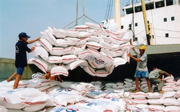 ĐBSCL xuất khẩu 516.000 tấn gạo trong tháng 1