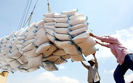 Xuất khẩu gạo giảm ở nhiều thị trường