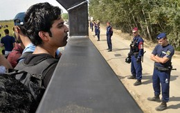 Hungary mở lại cửa khẩu biên giới với Serbia