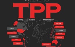Đàm phán Hiệp định TPP thành công - Cú huých cho đàm phán RCEP