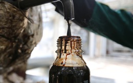 Saudi Arabia sẽ trở thành "chú thiên nga đen" của thị trường dầu mỏ?