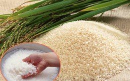 Làm gì để xây dựng thương hiệu gạo Việt Nam?