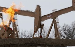 OPEC lên kế hoạch thiết lập liên minh để bình ổn thị trường dầu