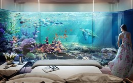 Cận cảnh phòng ngủ "đẹp như mơ" dưới đáy biển dành cho giới siêu giàu